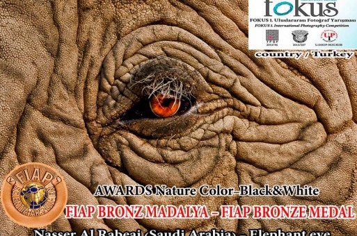 صورة من حديقة الحيوانات بالرياض ينال مصورها الميدالية البرونزية