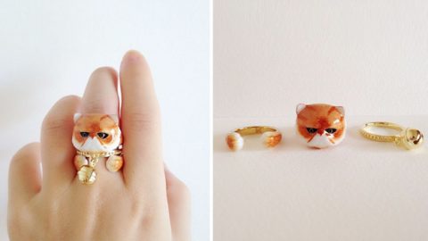 خواتم ثلاثية مبتكرة تكشف عن حيوانكِ المفضل