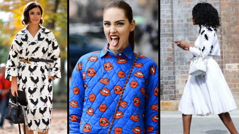 الطيور والحشرات تزين إطلاتك هذا الصيف