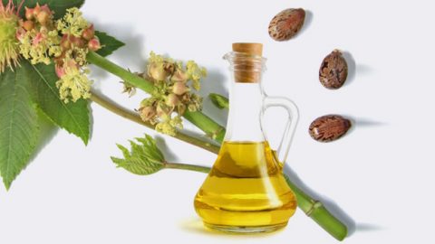 مفاجأة: زيت الخروع يؤدي إلى تساقط شعر حاجبيكِ