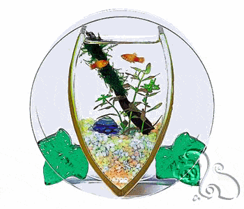 حوض اسماك جميل