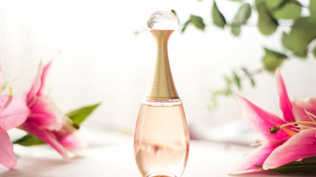 عطور 2019 : باقة أنيقة عليك اكتشافها لأنك تستحقين الأفضل