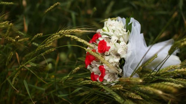 وجهات شهر العسل تستقطب كل العاشقين لسنة 2019