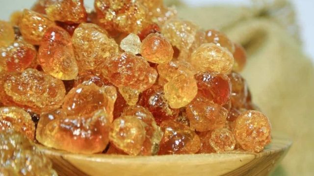فوائد الصمغ العربي لصحة الجسم عليك معرفتها