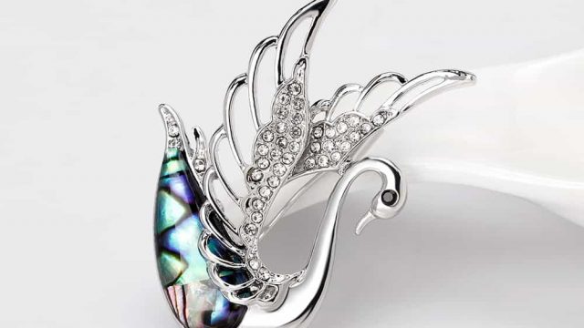 أروع البروشات بتصاميم ظريفة لإطلالة عصرية