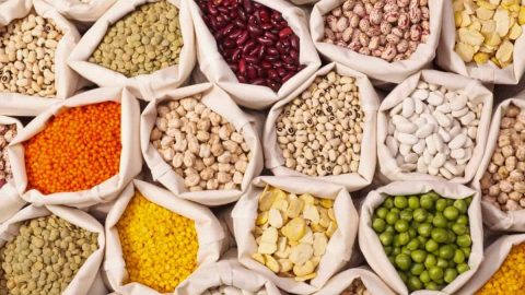 أهمية الحبوب في التغذية وأضرارها عليك معرفتها