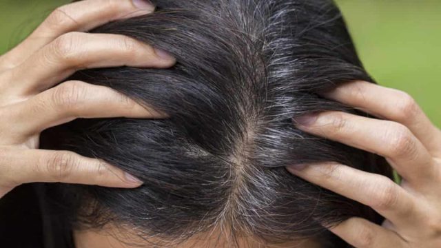 الشيب المبكر : أسبابه وطرق تغطيته طبيعيا