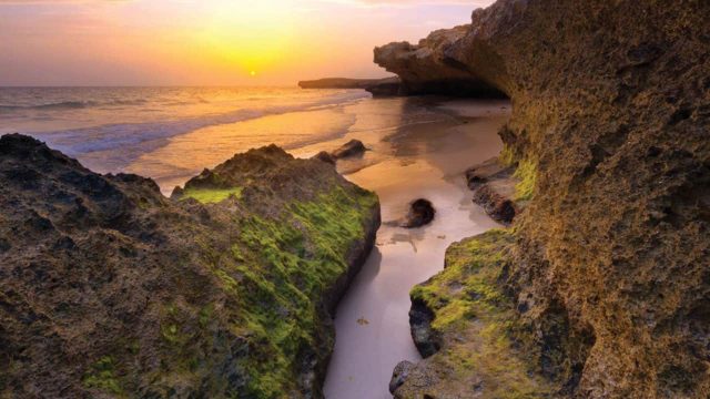 جزيرة فرسان وجهة سياحية ممتازة عليك اكتشافها