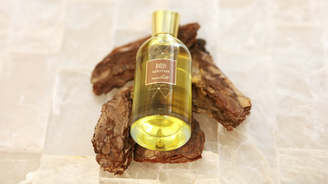 أحدث العطور الخشبية لإطلالة متميزة