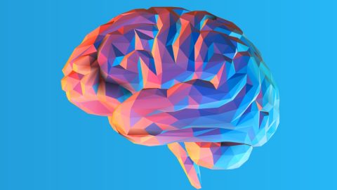 تناولي هذه الأطعمة لعلاج أعراض فقدان الذاكرة وتقويتها