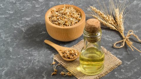 كل ما يجب أن تعرفيه عن فوائد زيت جنين القمح للبشرة والشعر