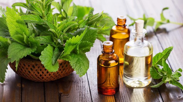 تعرفي على طريقة تخسيس دهون البطن باستخدام زيت النعناع
