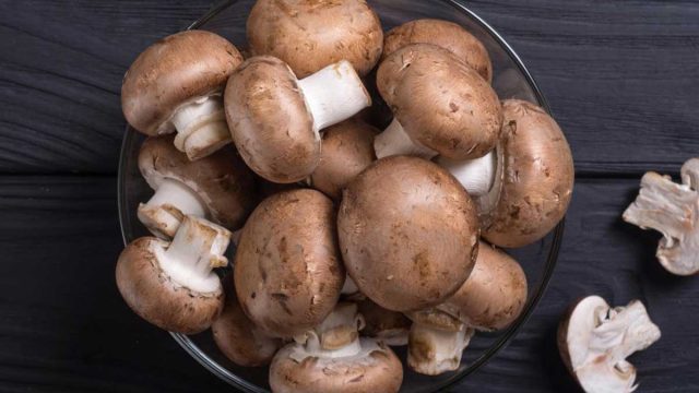 تعرفي على فوائد الفطر للتخسيس وطرق تطبيق الريجيم لخسارة 4 كيلوغرام